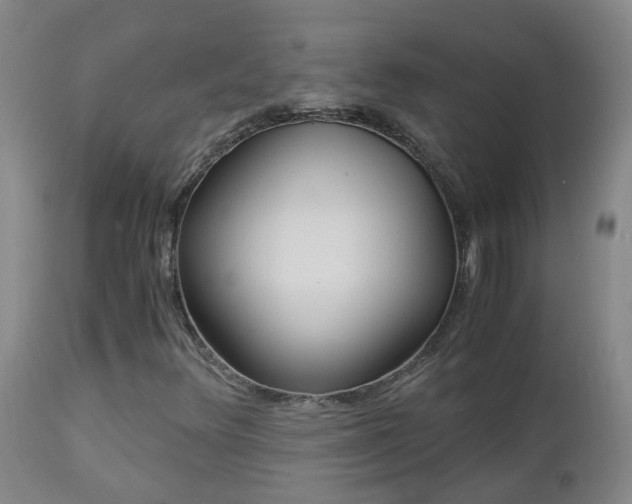 X0000112881348200908211440