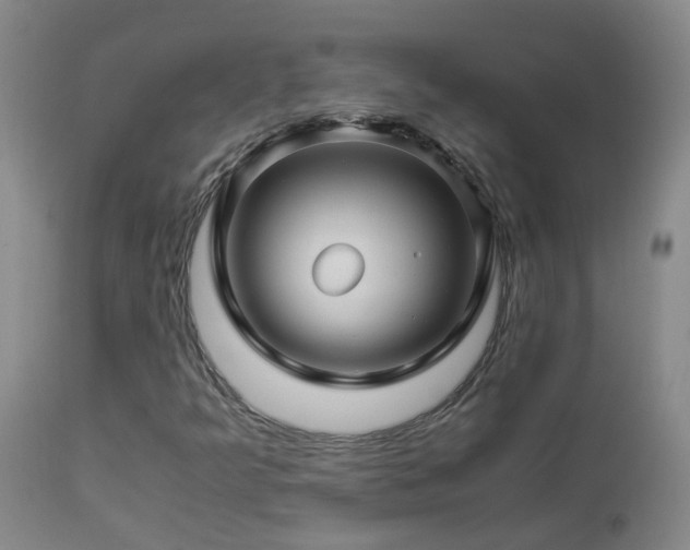 X0000112881349200908211440