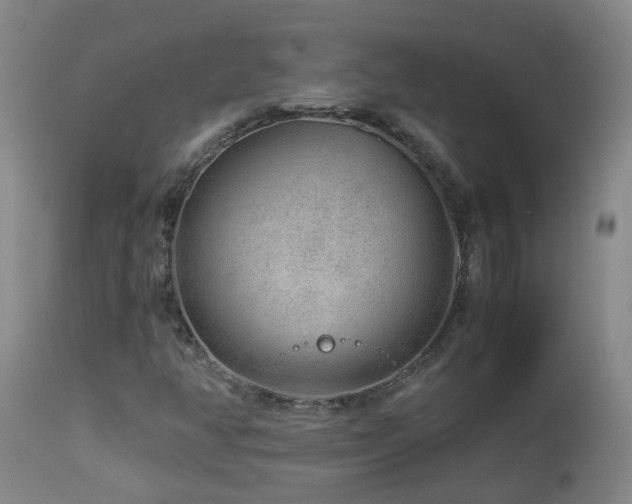 X0000112881350200908211440