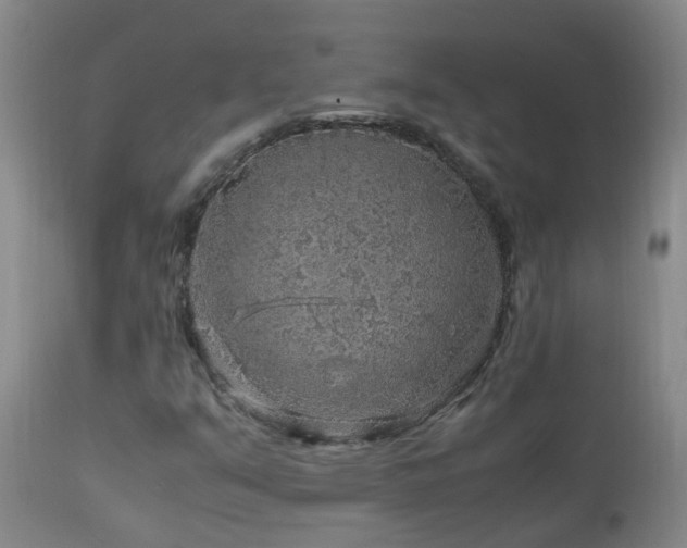 X0000112881351200908211440