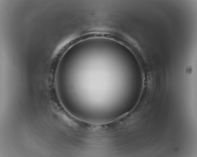 X0000112881352200908211440