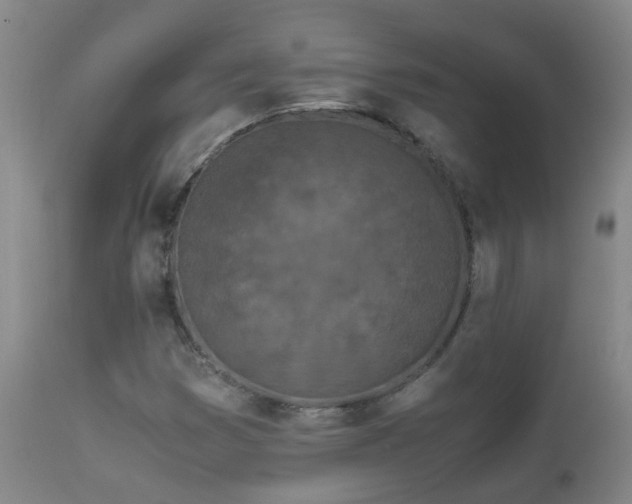 X0000112881353200908211440