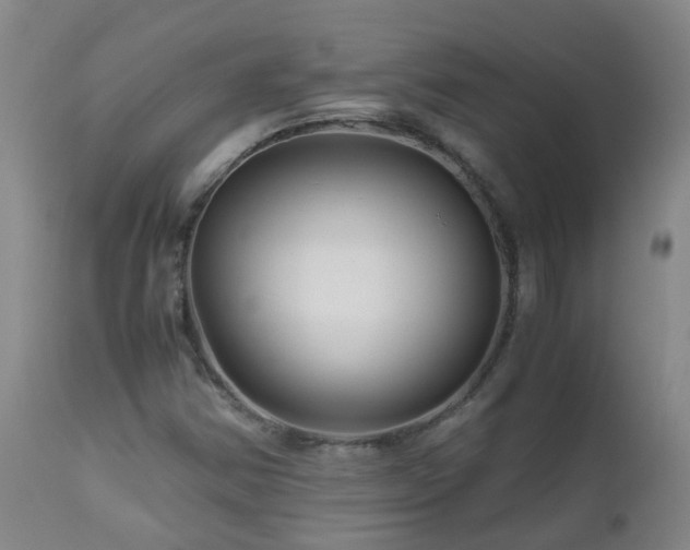 X0000112881354200908211440