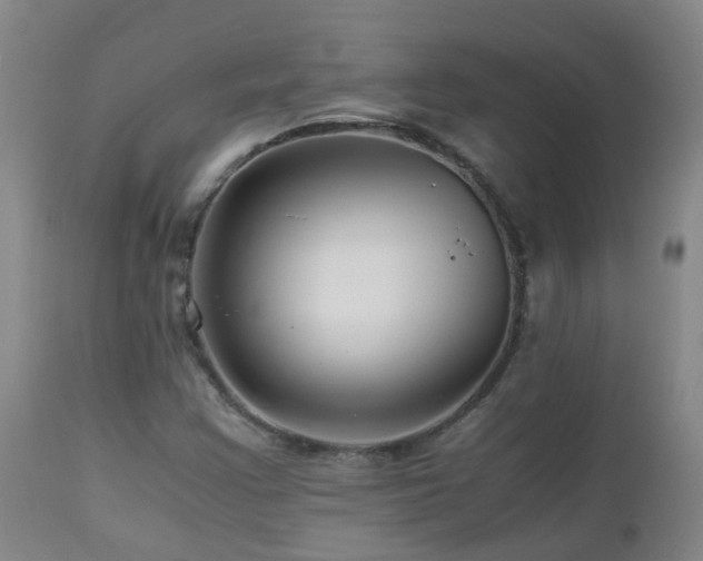 X0000112881355200908211440