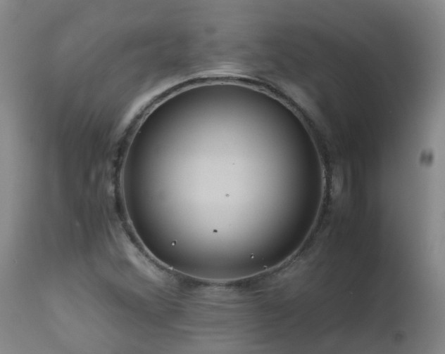 X0000112881356200908211440