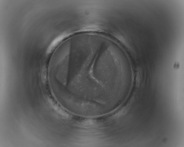 X0000112881358200908211440