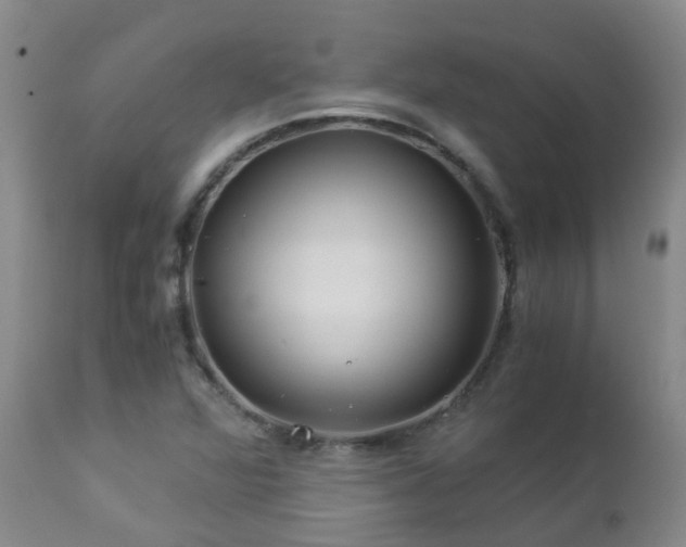 X0000112881360200908211440