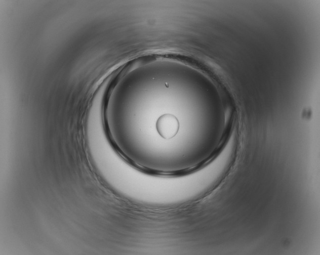 X0000112881361200908211440