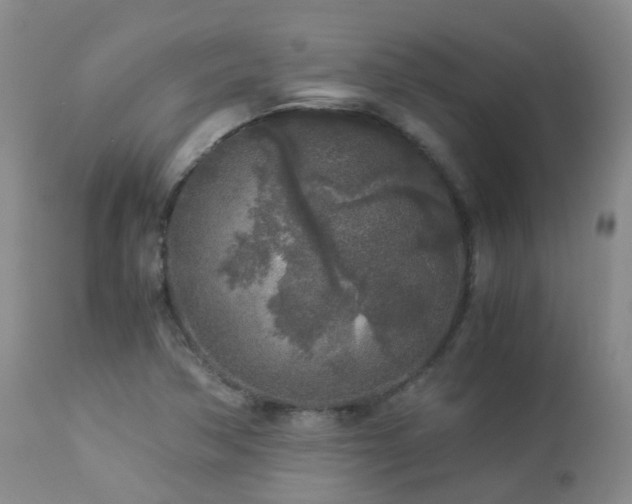 X0000112881362200908211440