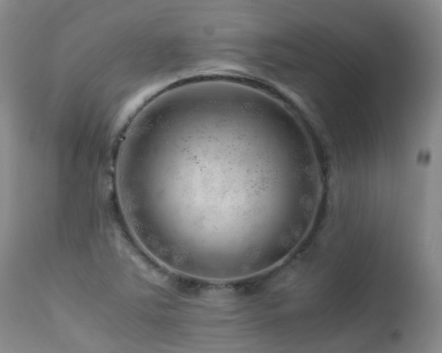 X0000112881363200908211440