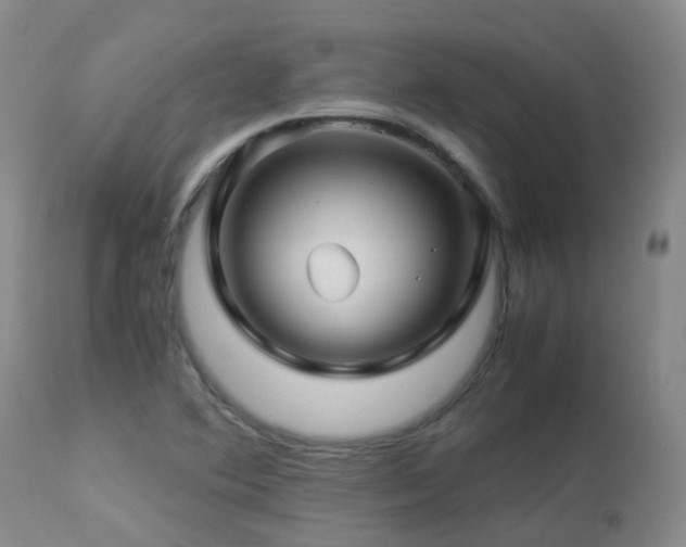 X0000112881364200908211440