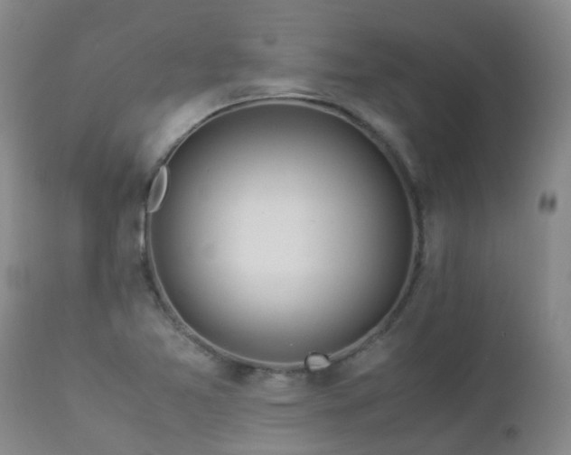 X0000112881365200908211440