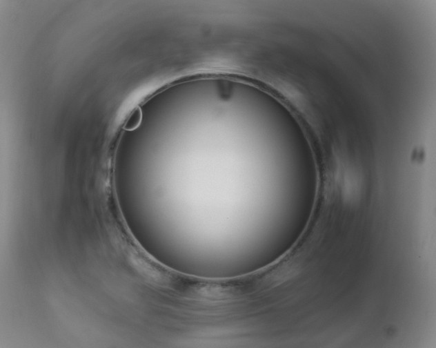 X0000112881366200908211440