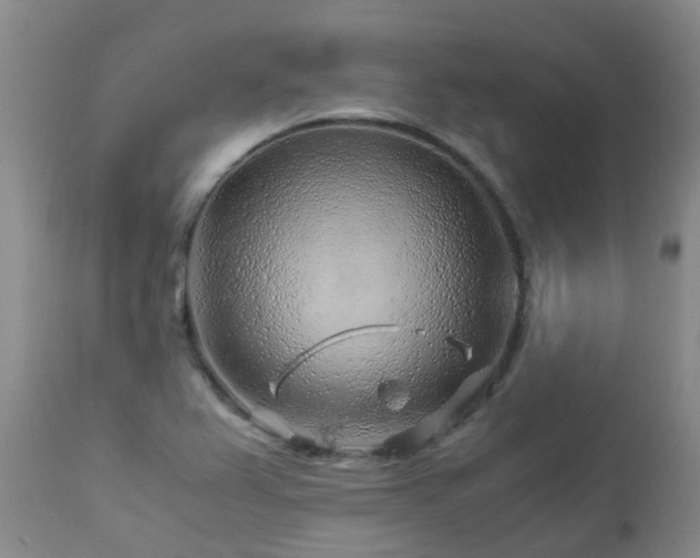 X0000112881367200908211440