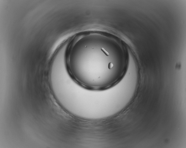 X0000112881368200908211440