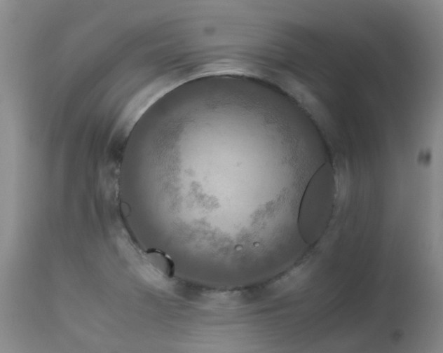 X0000112881369200908211440