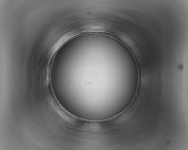 X0000112881370200908211440