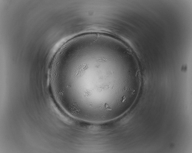 X0000112881371200908211440