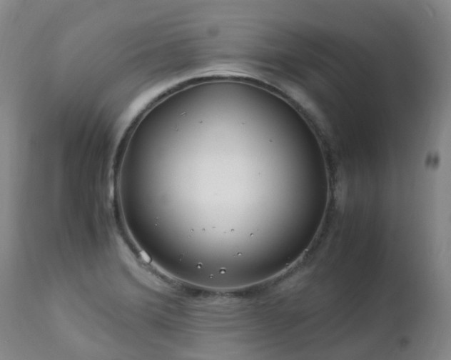 X0000112881372200908211440