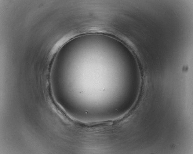 X0000112881373200908211440