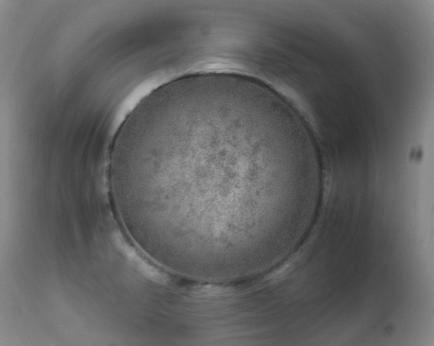 X0000112881374200908211440