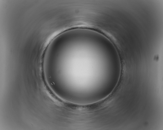 X0000112881375200908211440