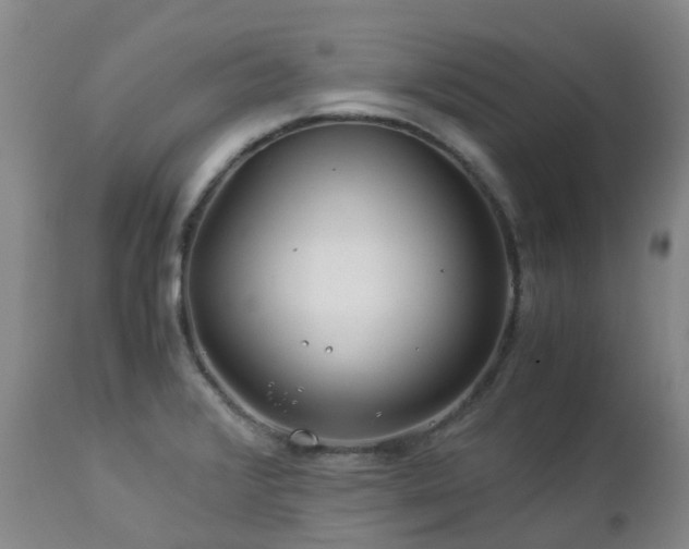 X0000112881376200908211440