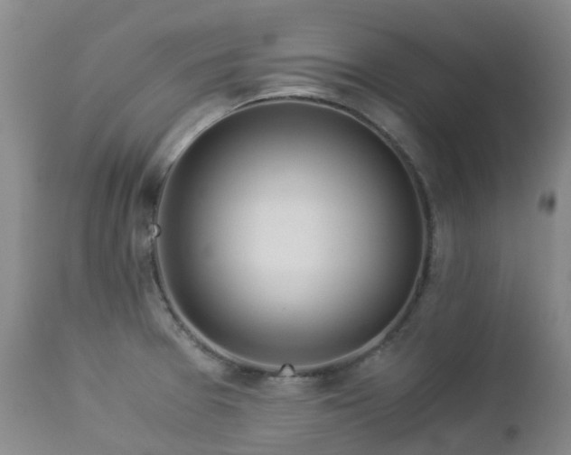 X0000112881377200908211440