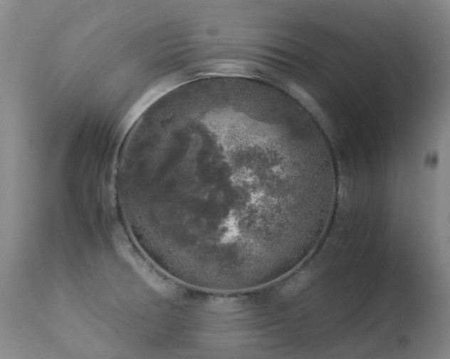 X0000112881378200908211440