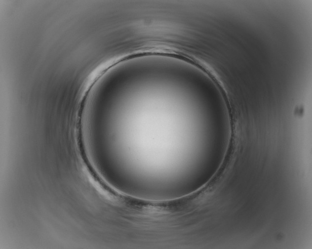 X0000112881379200908211440