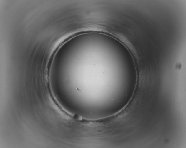 X0000112881380200908211440