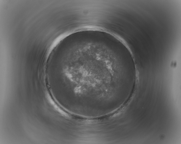 X0000112881381200908211440