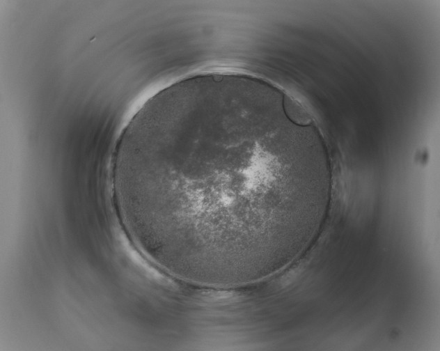 X0000112881382200908211440