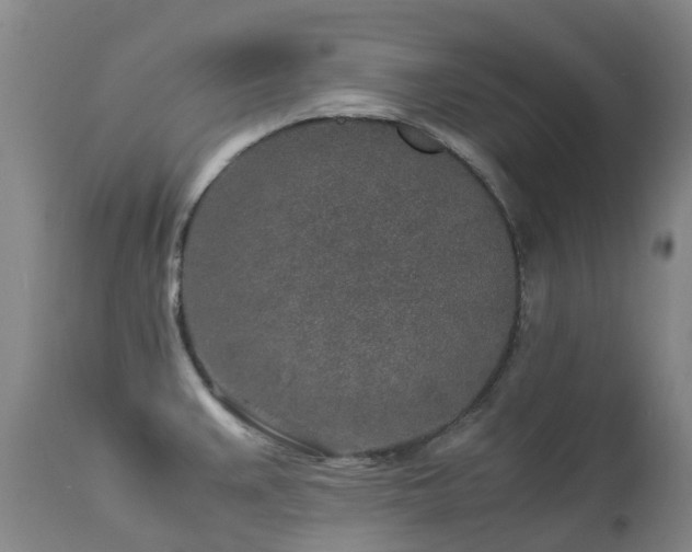 X0000112881383200908211440