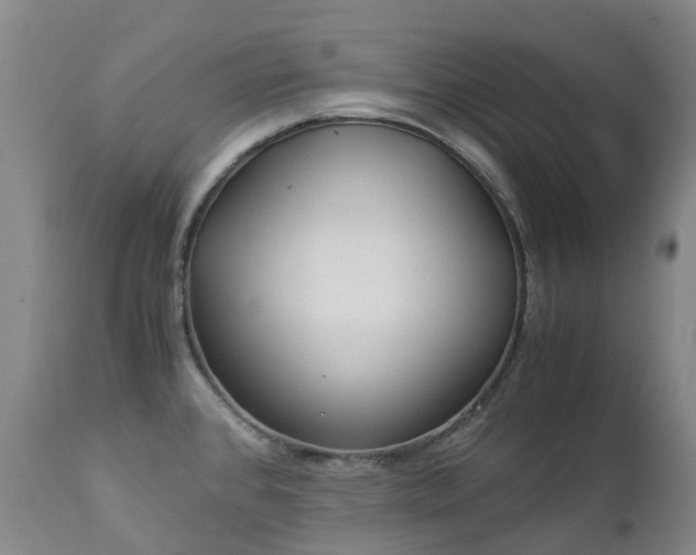 X0000112881384200908211440