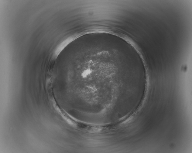 X0000112881385200908211440