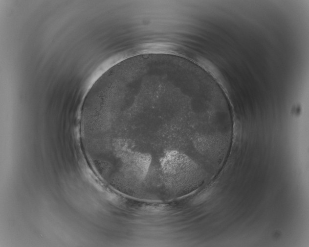 X0000112881386200908211440