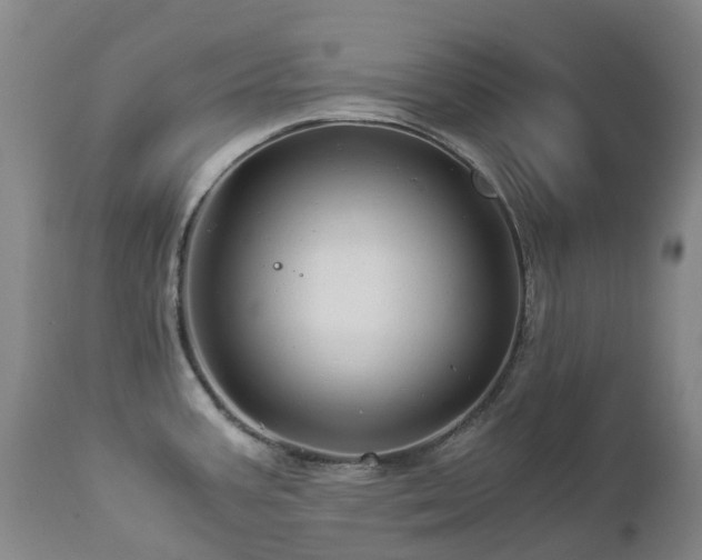 X0000112881387200908211440