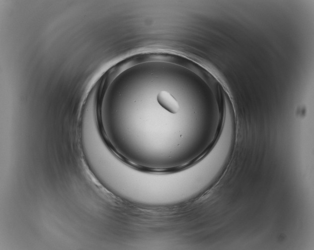 X0000112881388200908211440