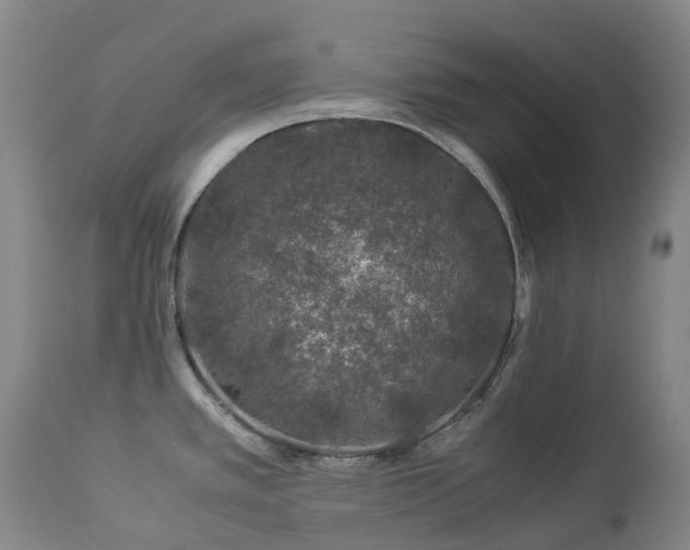 X0000112881389200908211440