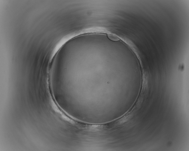 X0000112881390200908211440