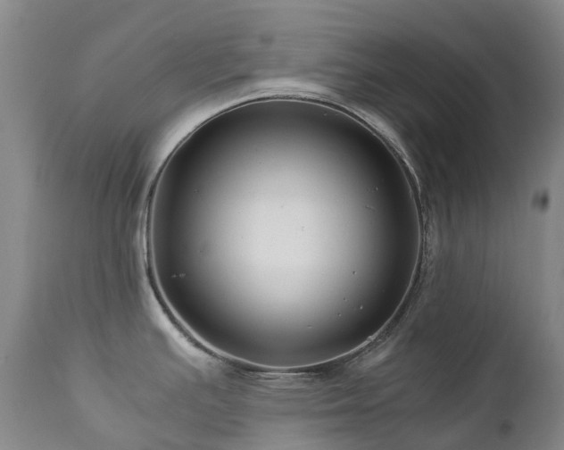 X0000112881391200908211440