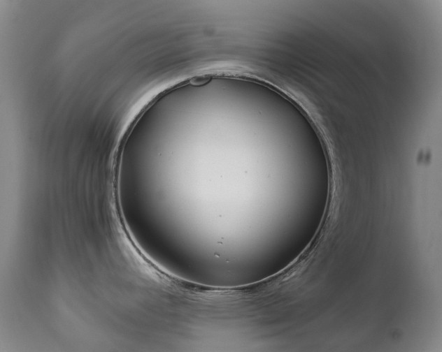 X0000112881392200908211440