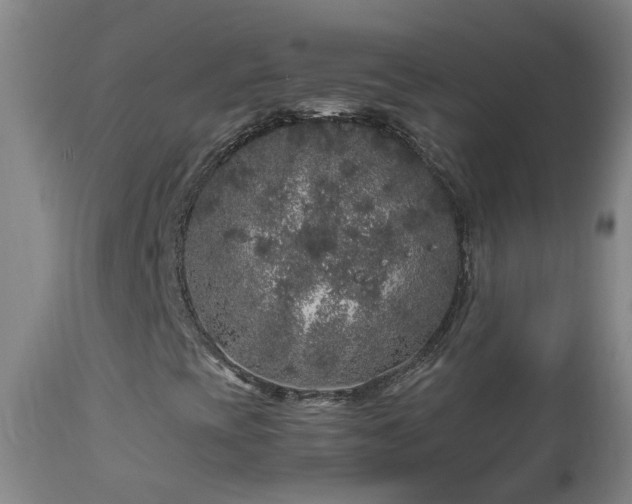 X0000112881393200908211439