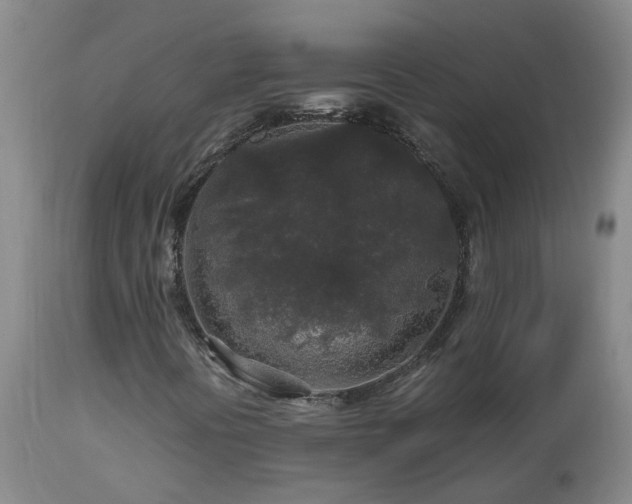 X0000112881394200908211439