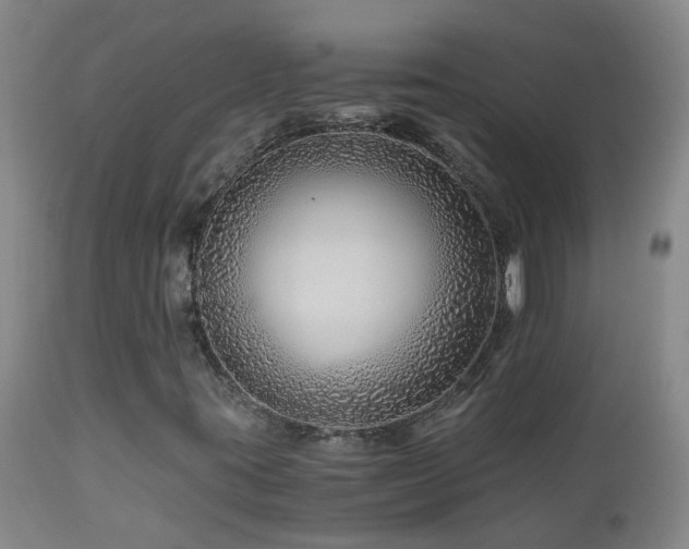 X0000112881395200908211439