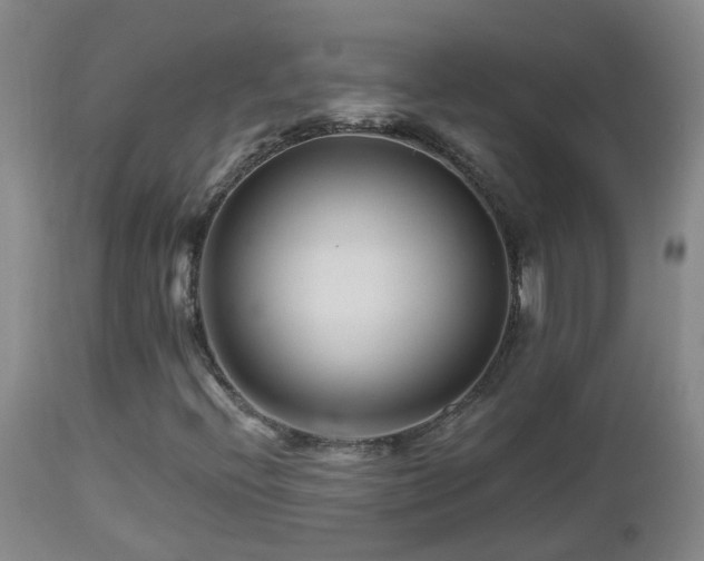 X0000112881396200908211439