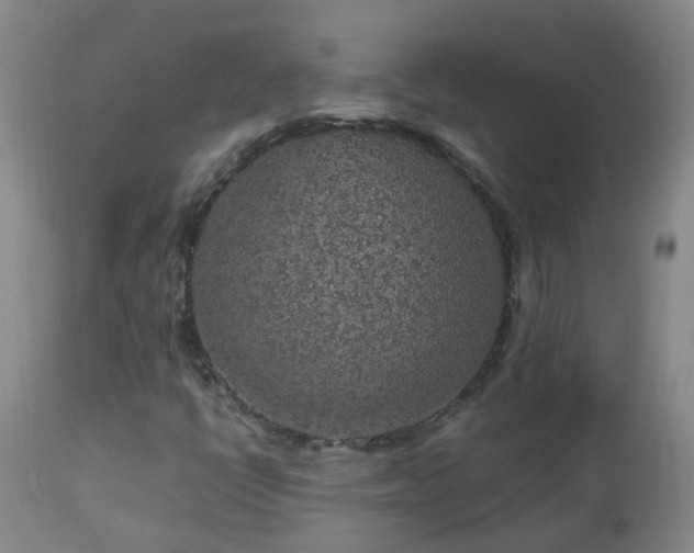 X0000112881398200908211439