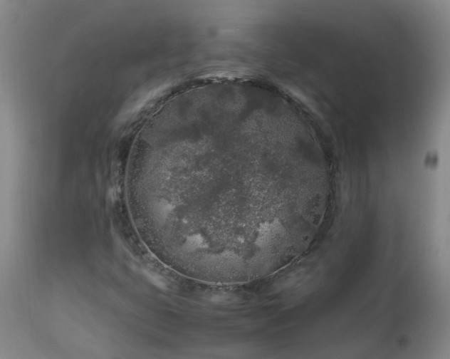 X0000112881399200908211439