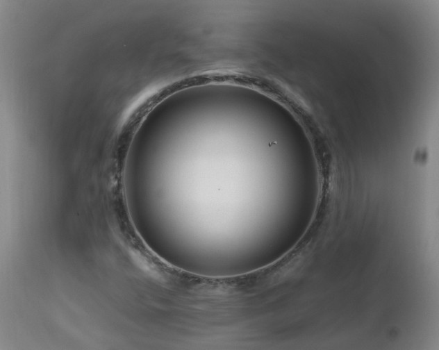 X0000112881400200908211439